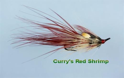 Irish Curry's Red JC